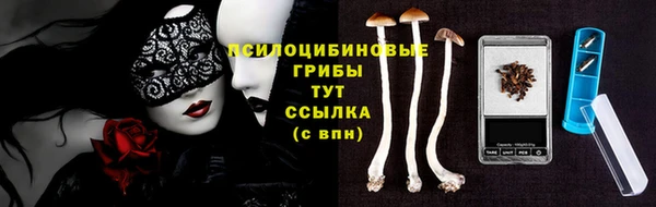 герыч Алзамай