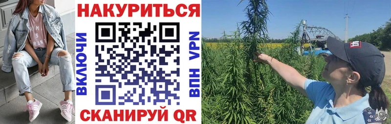 маркетплейс телеграм  Пущино  Марихуана сатива 